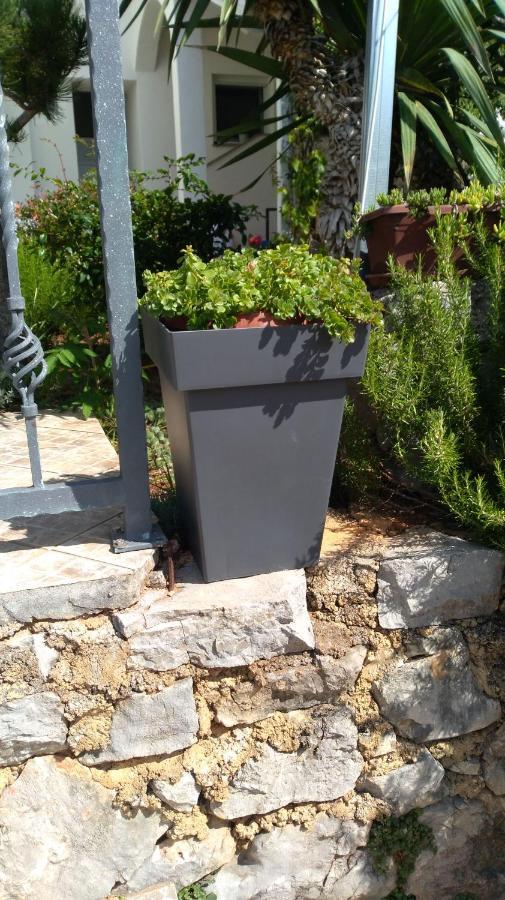 Apartmani Darko Kornić Exterior foto